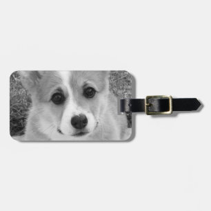 Étiquette À Bagage Chiot de corgi