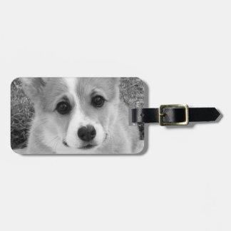Étiquette À Bagage Chiot de corgi