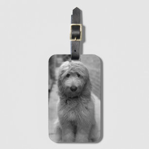 Étiquette À Bagage Chiot De Goldendoodle En Jardin