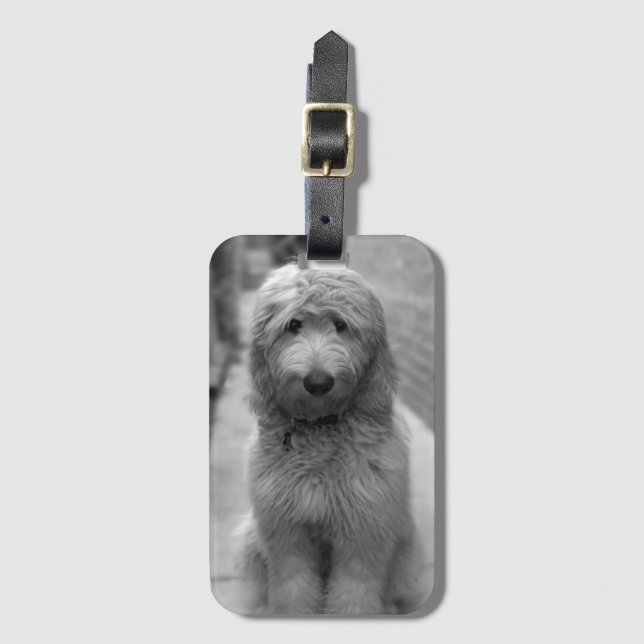 Étiquette À Bagage Chiot De Goldendoodle En Jardin (Devant Vertical)