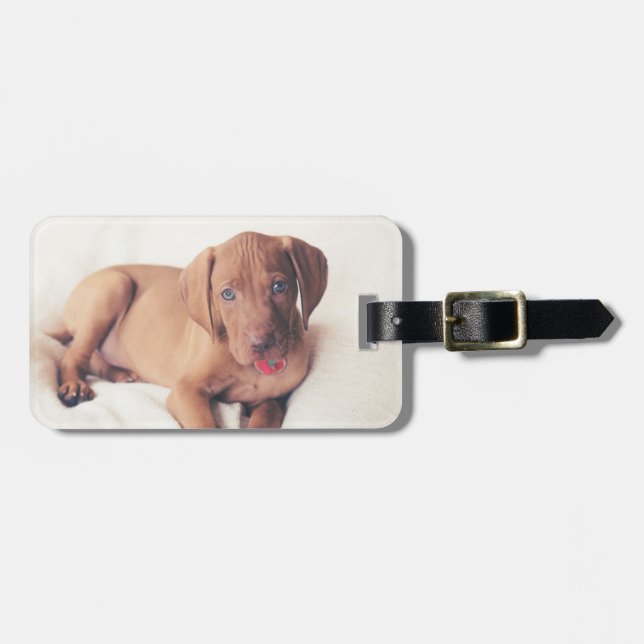 Étiquette À Bagage Chiot de Vizsla de Hongrois (Devant horizontal)