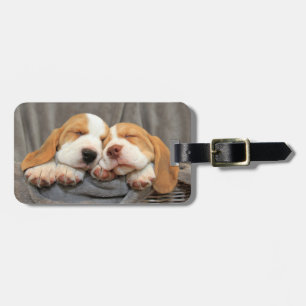 Étiquette À Bagage Chiots endormis