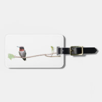Colibri Throsé De Rubis, Personnalisé