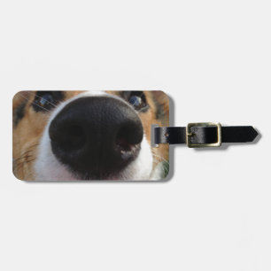 Étiquette À Bagage Collection de nez de chien de corgi de Gallois