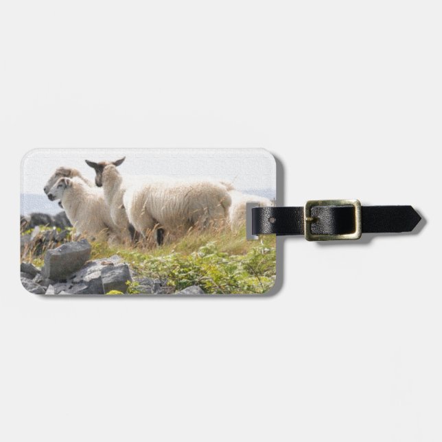 Étiquette À Bagage Conceptions originales - Moutons dans un champ (Devant horizontal)