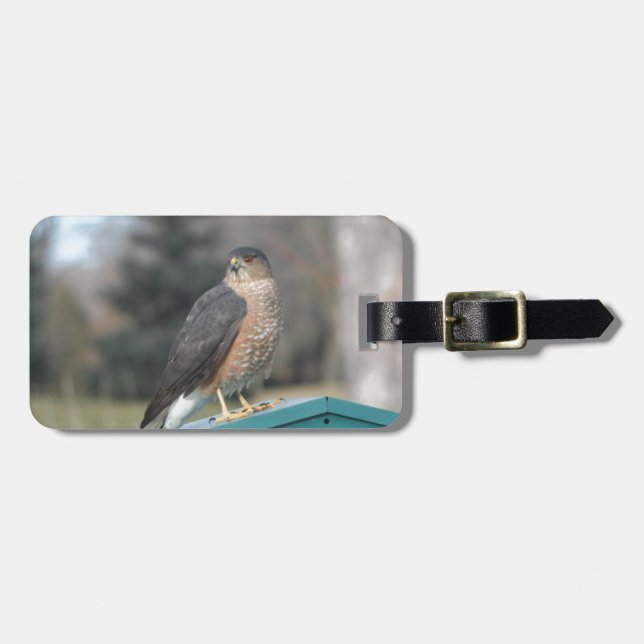 Étiquette À Bagage Coopers Hawk (Devant horizontal)
