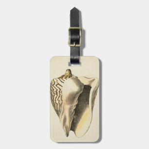 Étiquette À Bagage Coque vintage Sepia Conch