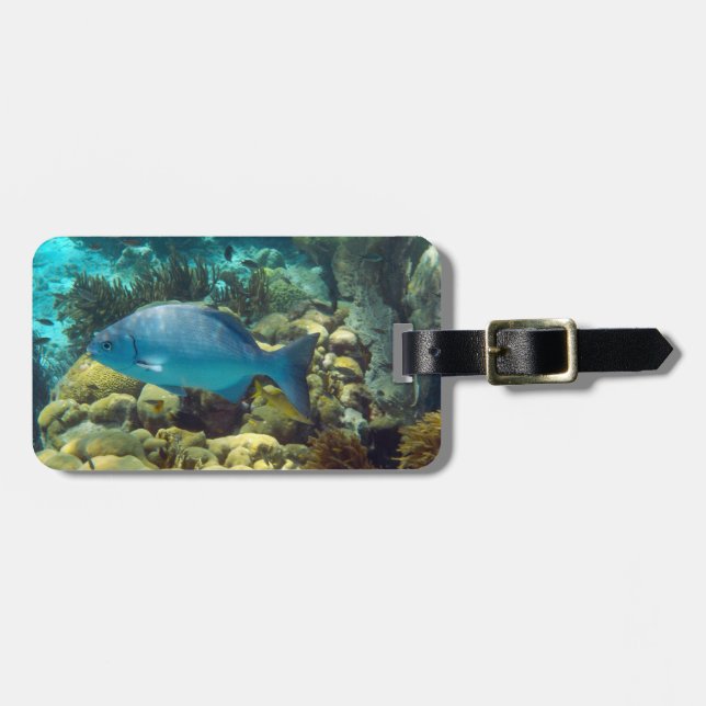 Étiquette À Bagage Coutume de poissons de récif (Devant horizontal)