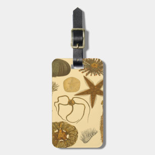 Étiquette À Bagage Créatures sous-marines