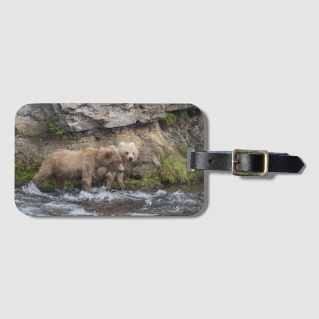 Étiquette À Bagage CUB de 128 Grazer aux automnes de ruisseaux - (Devant Horizontal)