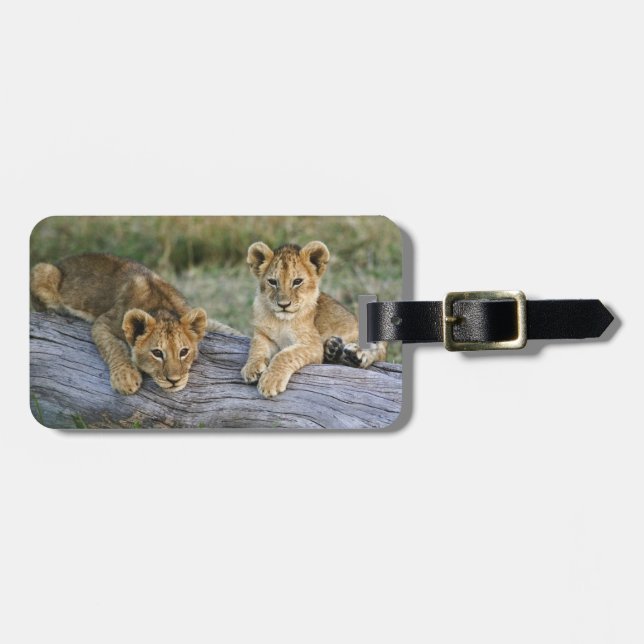 Étiquette À Bagage Cubes de lion sur le journal (Devant horizontal)