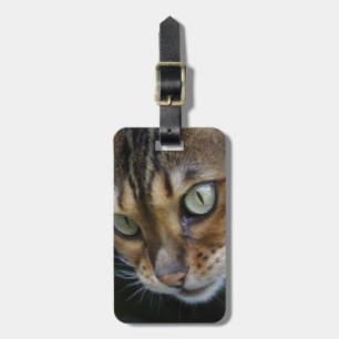 Étiquette À Bagage Curieux chat au Bengale