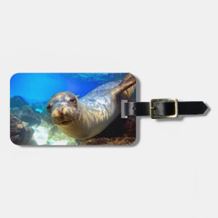 Étiquette À Bagage Curieux paradis de lions de mer sous-marin Galapag