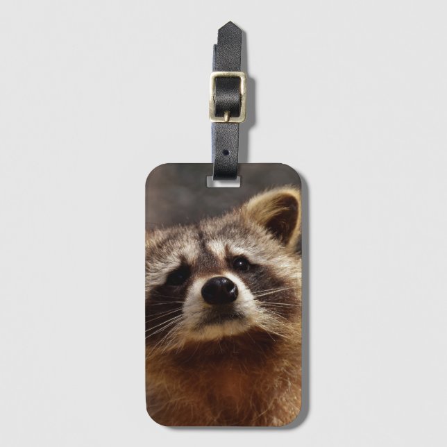 Étiquette À Bagage Curieux Raccoon (Devant Vertical)