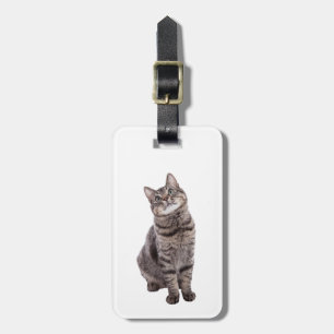 Étiquette À Bagage Cute tabby Chat