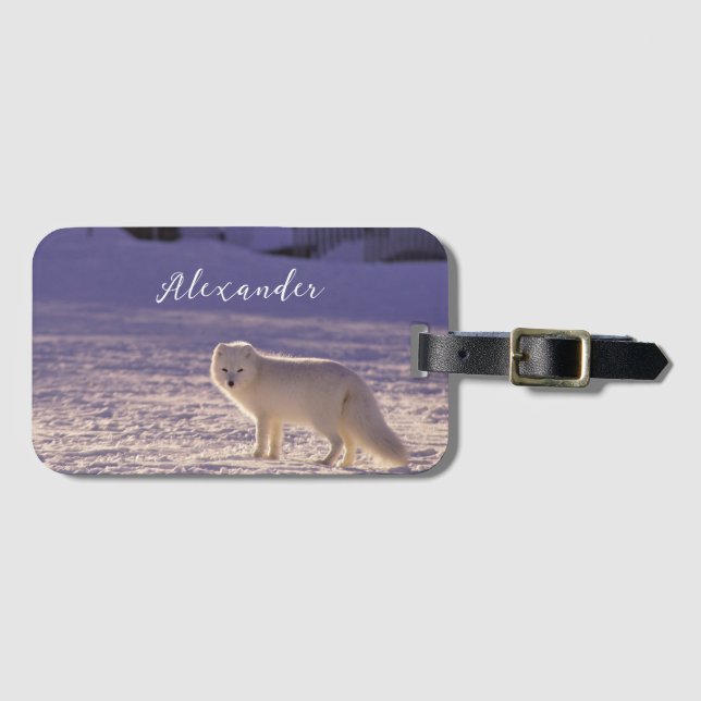 Étiquette À Bagage Cute White Arctic Fox neige hiver Photographie (Devant Horizontal)