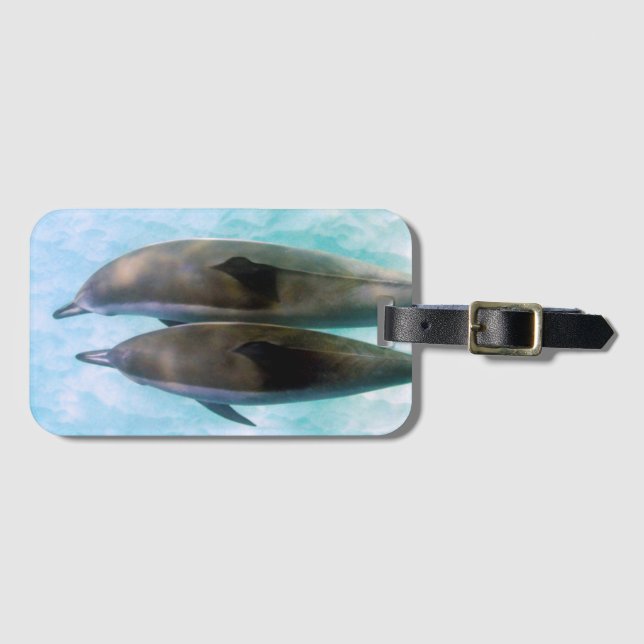 Étiquette À Bagage Dauphins de fileur | Oahu Hawaï (Devant Horizontal)