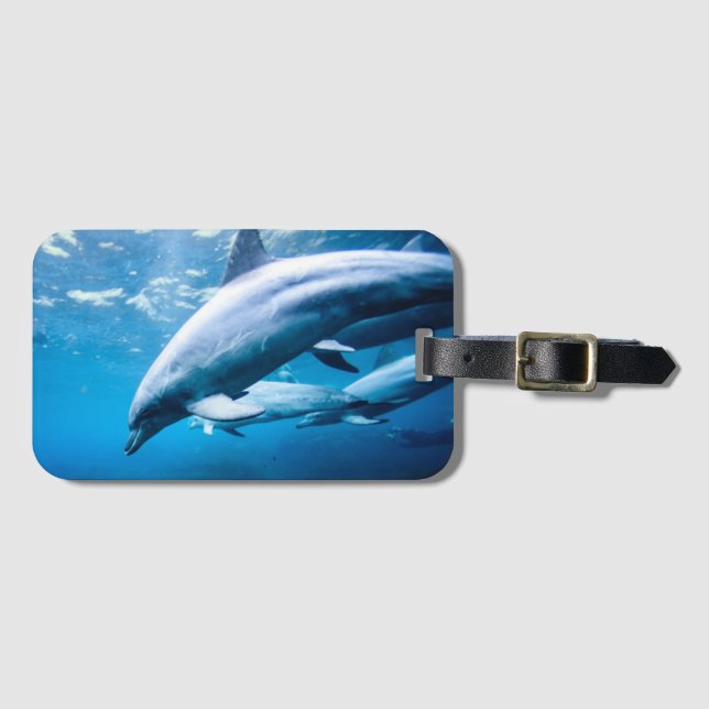 Étiquette À Bagage Dauphins sous-marins (Devant Horizontal)