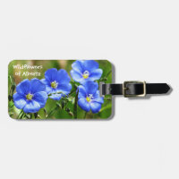 De magnifiques Fleurs sauvages bleus s'affrontent