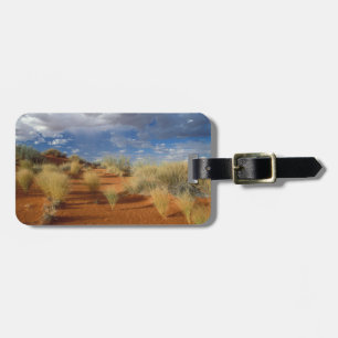 Étiquette À Bagage Désert du Kalahari, Kgalagadi Transfrontière 2