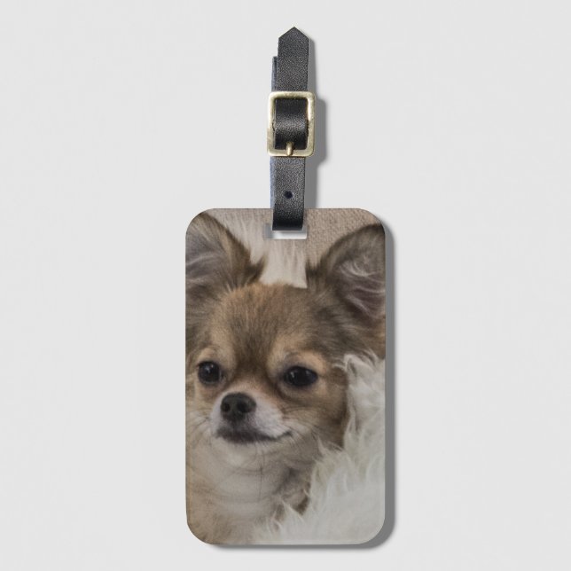 Étiquette À Bagage Détente du Chihuahua gâté (Devant Vertical)