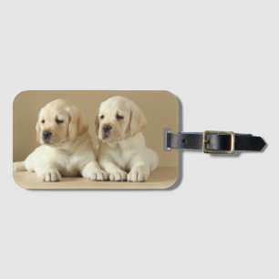 Étiquette À Bagage Deux Marionnettes Golden Labrador