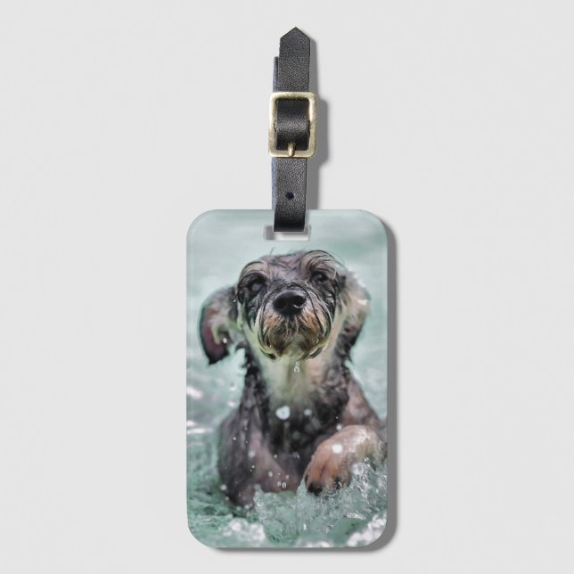Étiquette À Bagage Doggy Paddle mignon chien nager (Devant Vertical)