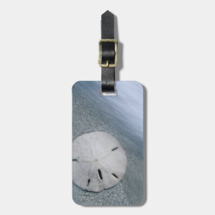 Étiquette À Bagage Dollar de sable sur la plage   Île Sanibel, Florid