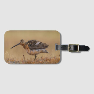 Étiquette À Bagage Dowitcher à long bec