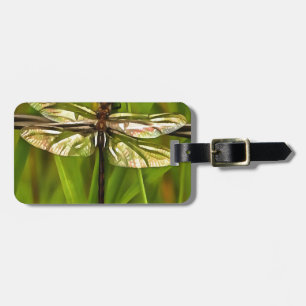 Étiquette À Bagage Dragonfly Artistique En Brown Et Jaune Sur Vert