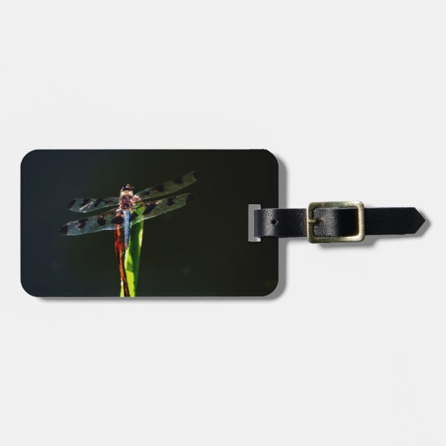 Étiquette À Bagage Dragonfly bleu et noir sur gazon vert et rouge (Devant horizontal)
