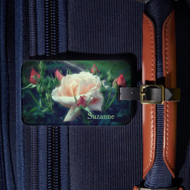 Étiquette À Bagage Dreamy Peach Rose Et Bureaux Personnalisés (Insitu Rectoal 4)