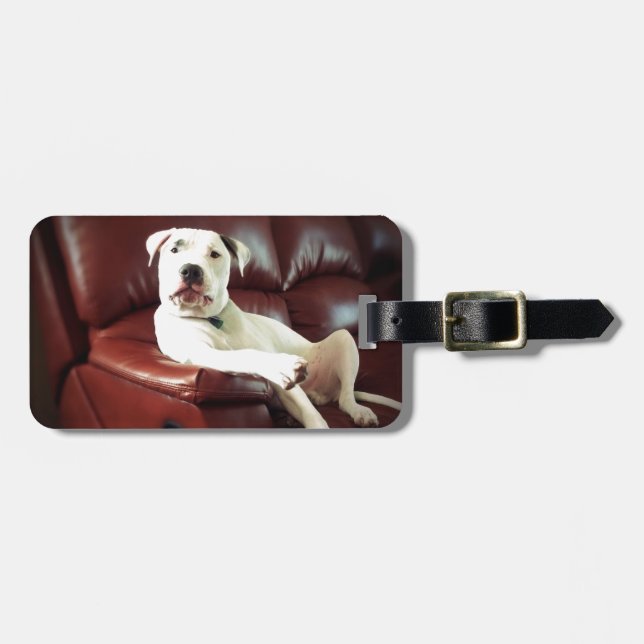 Étiquette À Bagage drôle de pit bull chien sur le canapé (Devant horizontal)