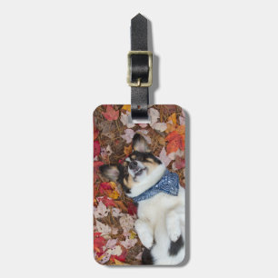 Étiquette À Bagage Drôle, mignon, regard de corgi