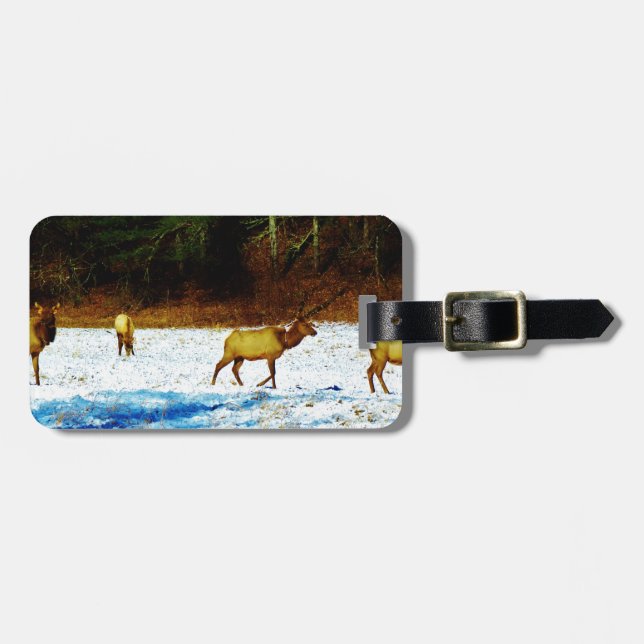 ÉTIQUETTE À BAGAGE DSC00131.JPG (Devant horizontal)