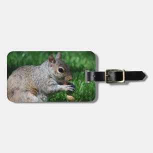 Étiquette À Bagage Écureuil avec l'étiquette de bagage d'écrou