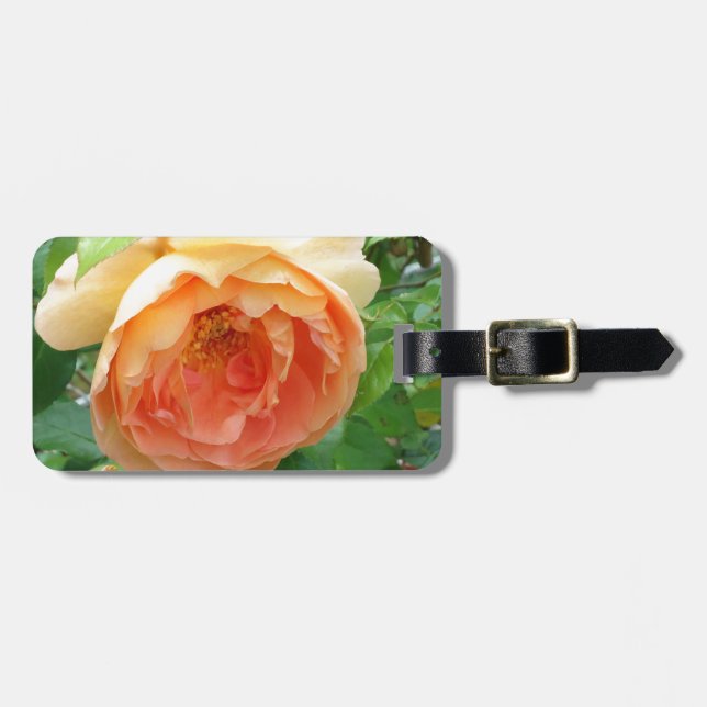 Étiquette À Bagage Élégant Rose orange (Devant horizontal)