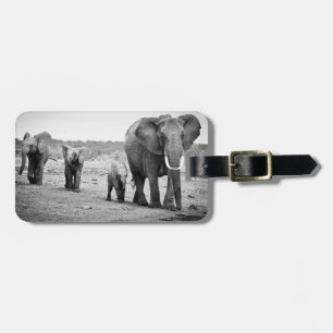 Étiquette À Bagage Éléphant africain et veaux   Kenya, Afrique