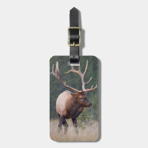 Étiquette À Bagage Elk de montagne Rocky