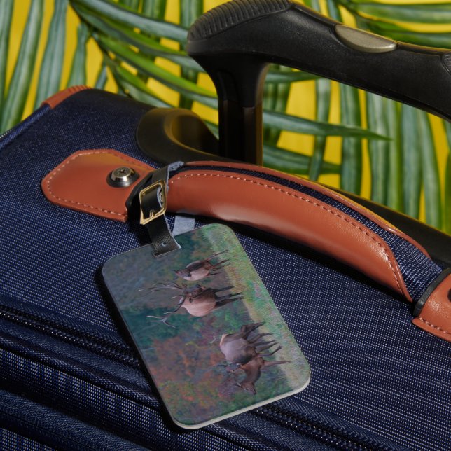 Étiquette À Bagage Elk Luggage Tag (Insitu Rectoal 1)