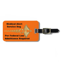 Entretenez l'identification de chien