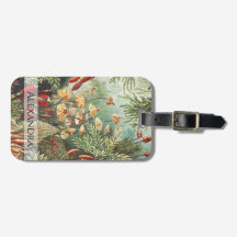 Ernst Haeckel Champignon rétro Vintage