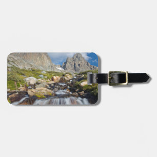 Étiquette À Bagage États-Unis, Californie, Forêt nationale d'Inyo 14