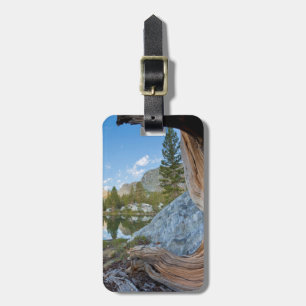 Étiquette À Bagage États-Unis, Californie, Forêt nationale d'Inyo. Vi