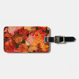 Étiquette À Bagage États-Unis, Maine. Feuilles d'érable en automne