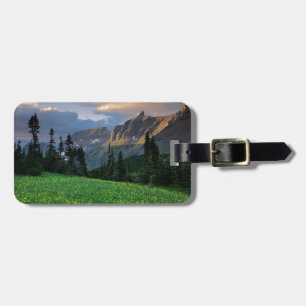 Étiquette À Bagage États-Unis, Montana, Parc national des Glaciers, c