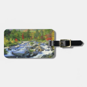 Étiquette À Bagage États-Unis, New York. Une cascade dans l'Adirondac