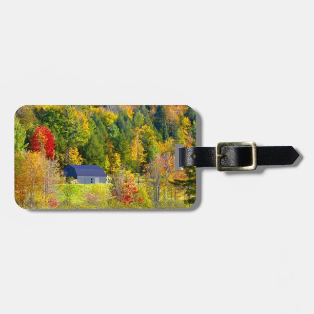 Étiquette À Bagage États-Unis, Vermont. Chute de brouillard le long d (Devant horizontal)