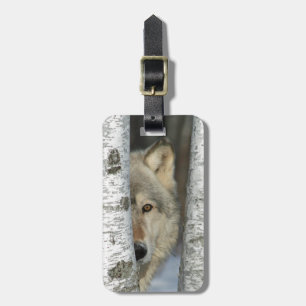 Étiquette À Bagage étiquette de bagage avec la photo du loup gris