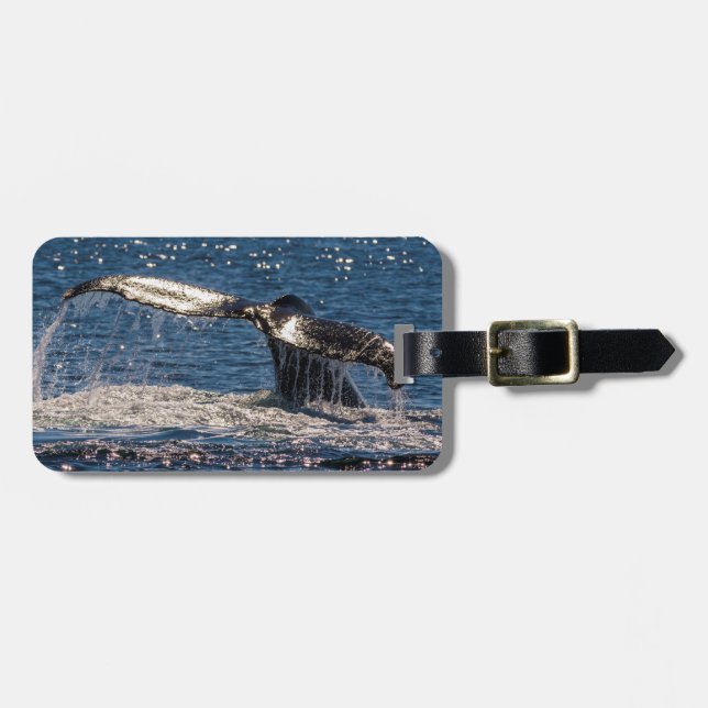 Étiquette À Bagage Étiquette de bagage de baleine de Humback - flet (Devant horizontal)